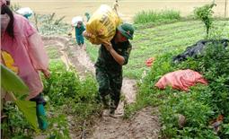 Bộ đội Đoàn KT-QP 799 tích cực giúp nhân dân khắc phục hậu quả mưa lũ